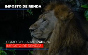 Ir2020:como Declarar Pgbl No Imposto De Renda Notícias E Artigos Contábeis - Razão Contabilidade │ Contabilidade na Bahia