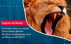 Entenda Como Os Casais Divorciados Devem Declarar As Despesas Com Os Filhos No Ir 2021 1 Blog Contabil Rocha Ltda - Razão Contabilidade │ Contabilidade na Bahia