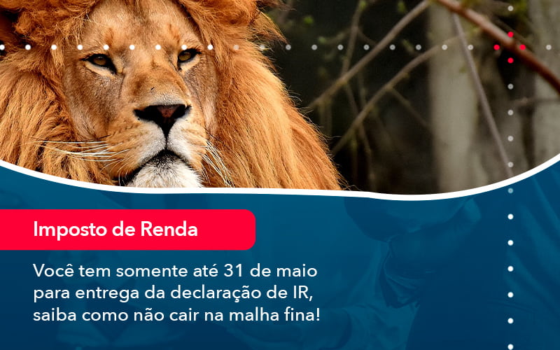 Voce Tem Somente Ate 31 De Maio Para Entrega Da Declaracao De Ir Saiba Como Nao Cair Na Malha Fina 1 Blog Contabil Rocha Ltda - Razão Contabilidade │ Contabilidade na Bahia