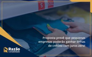 Proposta Prevê Que Pequenas Empresas Poderão Ganhar Linhas De Crédito Com Juros Zero! Razao - Razão Contabilidade │ Contabilidade na Bahia