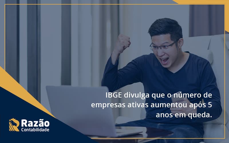 Ibge Divulga Que Numero De Empresa Ativas Aumentou Razao - Razão Contabilidade │ Contabilidade na Bahia